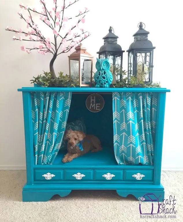 Dog House