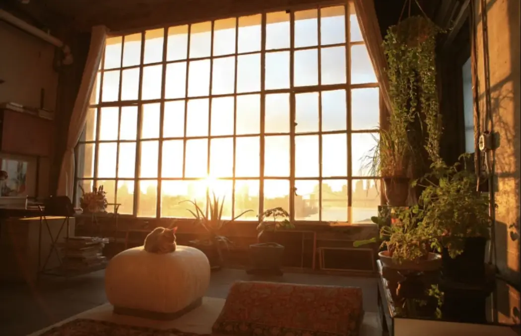 Choosing the side of the world when buying an apartment